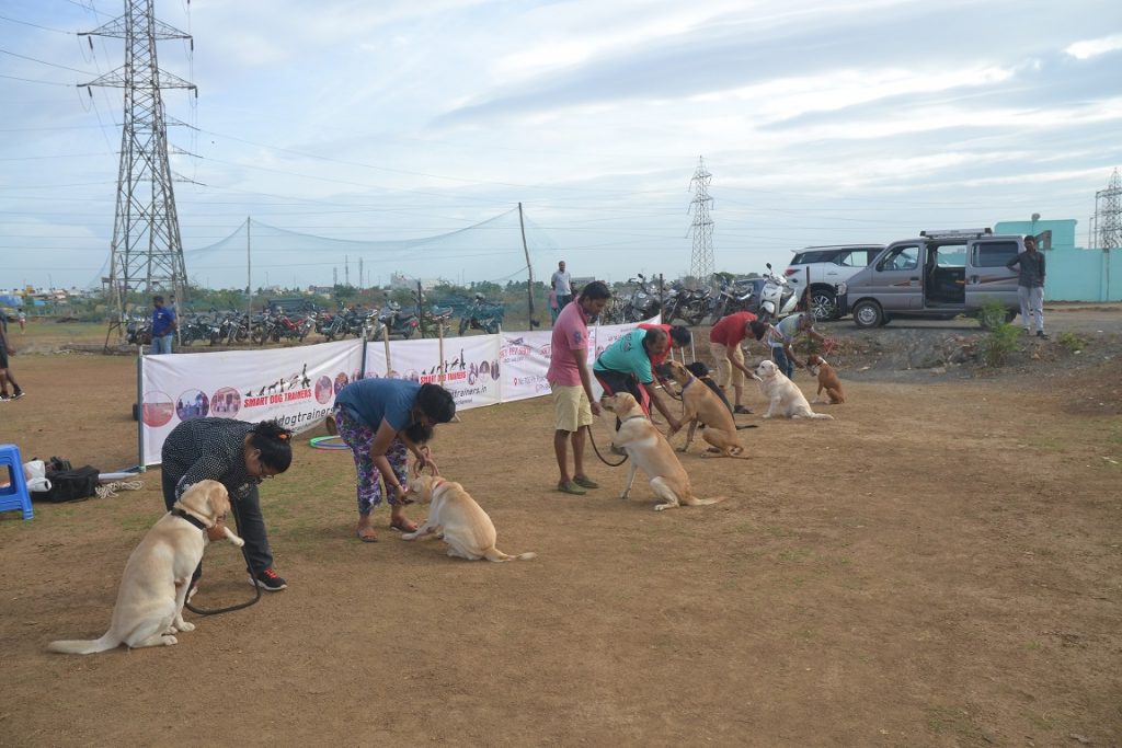 dog trainer at chennai