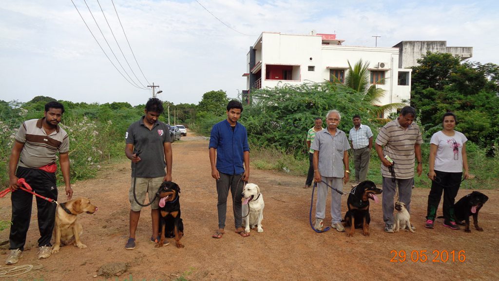 smart dog trainers in chennai