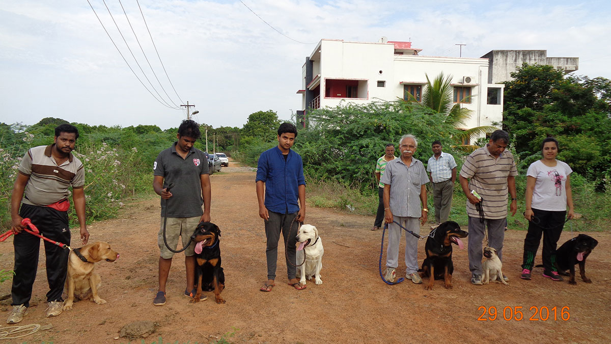 smart dog trainers in chennai